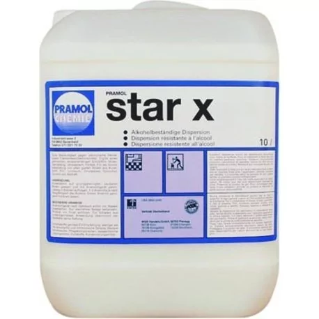 STAR X 10л. Чрезвычайно износостойкое покрытие
